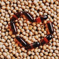 NEOHpedia | Leichtine (Soja) 🌱 NEOHpedia | Leichtine (Soja) 🌱