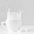 NEOHpedia | Vollmilch- und Molkenpulver 🥛 NEOHpedia | Vollmilch- und Molkenpulver 🥛